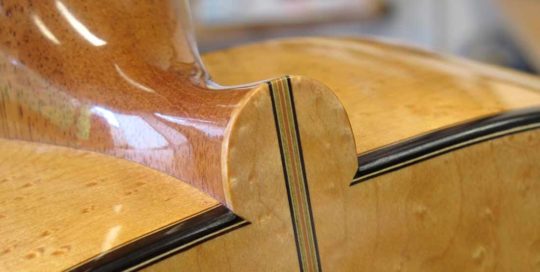 Guitar Neck