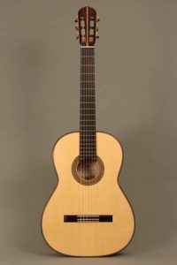 Hauser Guitar