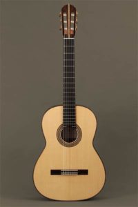 Torres Guitar