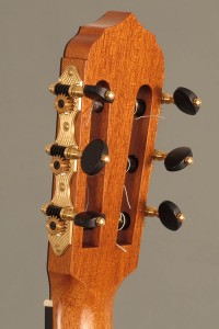 Concert Guitar 2           