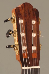 Simon-Ambridge-Hauser-Guitar 8 